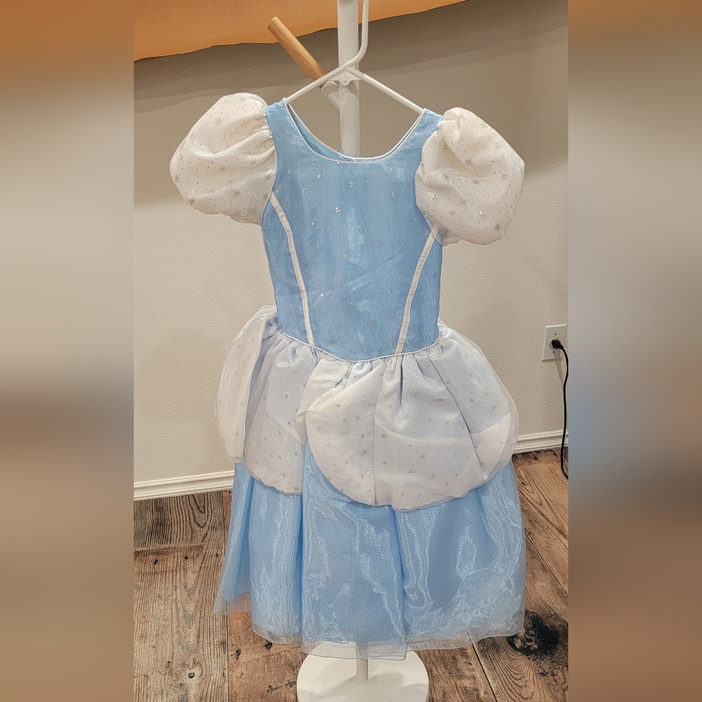 Cinderella costume handmade